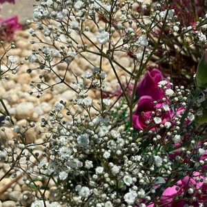 Meet your Posher, Isabella